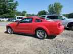 2008 FORD MUSTANG