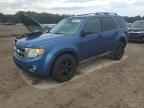 2009 FORD ESCAPE