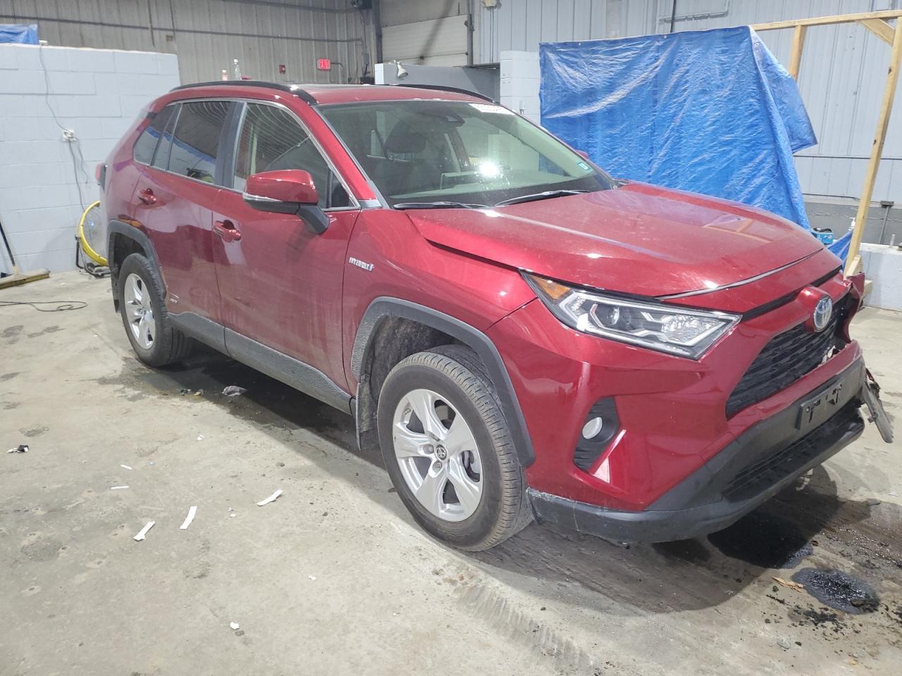 2019 TOYOTA RAV4