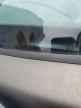 2007 JEEP Liberty