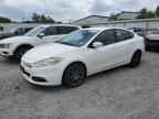 2013 DODGE Dart