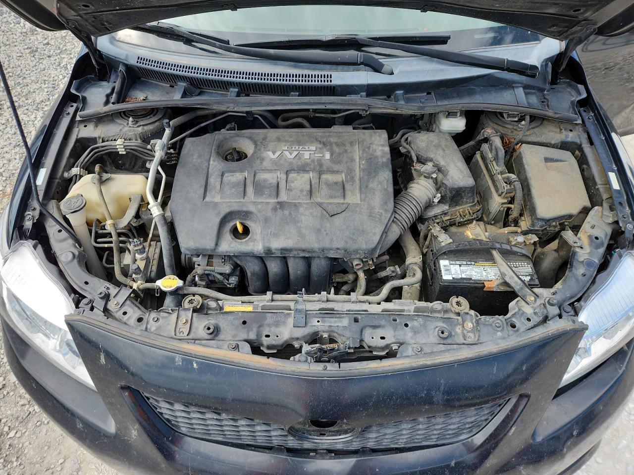 2010 TOYOTA COROLLA