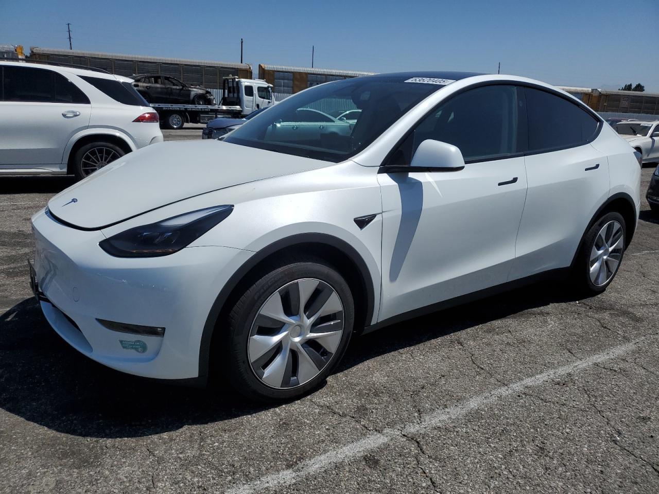 2024 TESLA MODEL Y