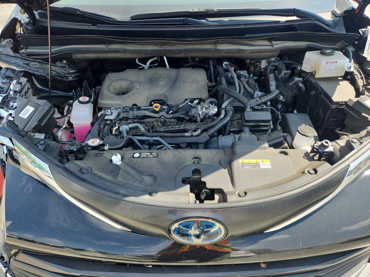 2023 TOYOTA SIENNA