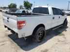 2009 FORD F-150