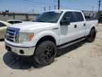 2009 FORD F-150