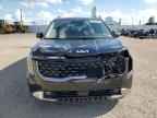 2025 KIA Carnival