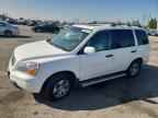 2005 HONDA PILOT