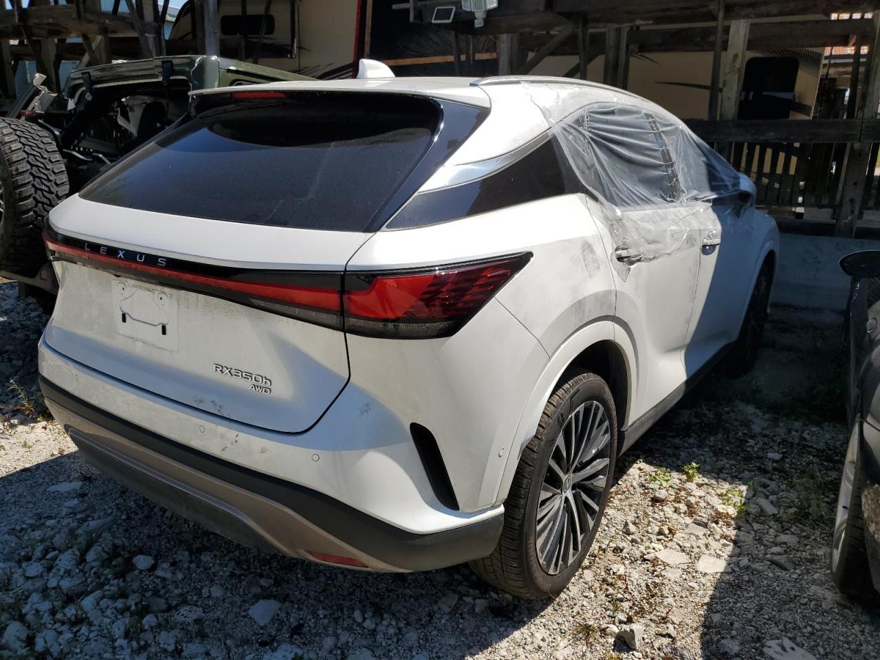2024 LEXUS Rx