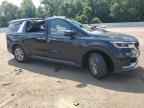2023 KIA Carnival