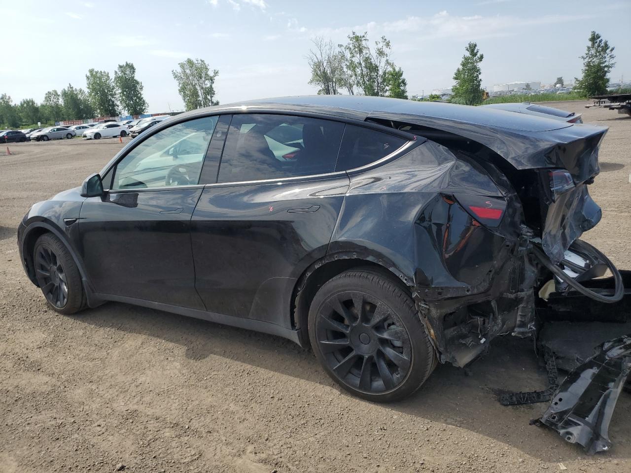 2024 TESLA MODEL Y