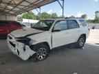 2023 TOYOTA 4Runner