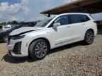 2024 CADILLAC XT6