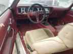1979 PONTIAC Firebird