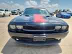 2013 DODGE Challenger