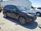 2011 KIA SORENTO