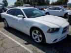 2013 DODGE CHARGER