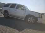 2006 CADILLAC ESCALADE