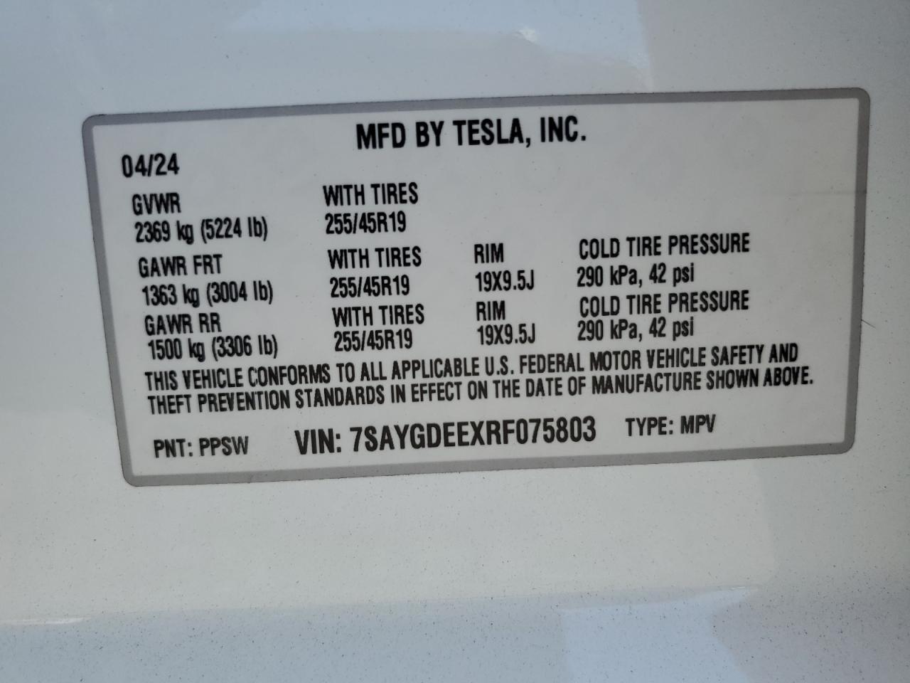 2024 TESLA MODEL Y