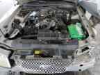 2001 FORD MUSTANG