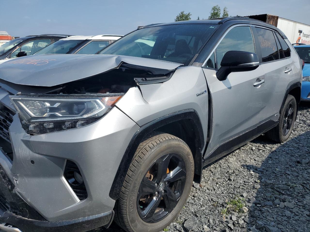 2019 TOYOTA RAV4