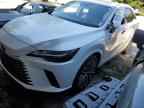 2024 LEXUS Rx