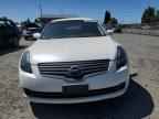 2008 NISSAN ALTIMA