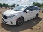 2022 HONDA ODYSSEY