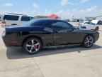 2013 DODGE Challenger