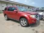 2012 FORD ESCAPE