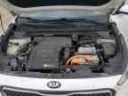 2018 KIA Niro