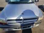 2001 DODGE Dakota