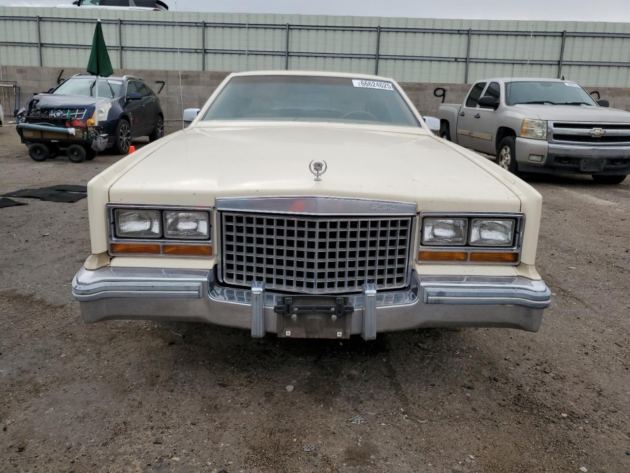 1981 CADILLAC All Other