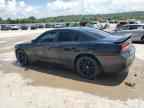 2013 DODGE CHARGER