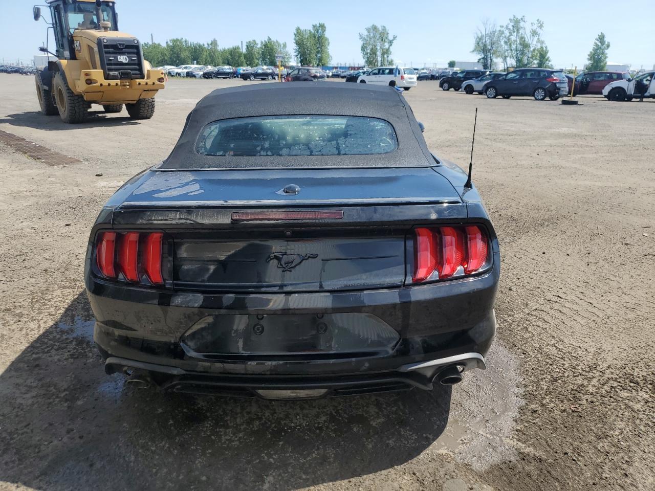 2019 FORD MUSTANG