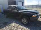 2004 DODGE Dakota