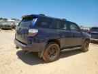2021 TOYOTA 4Runner