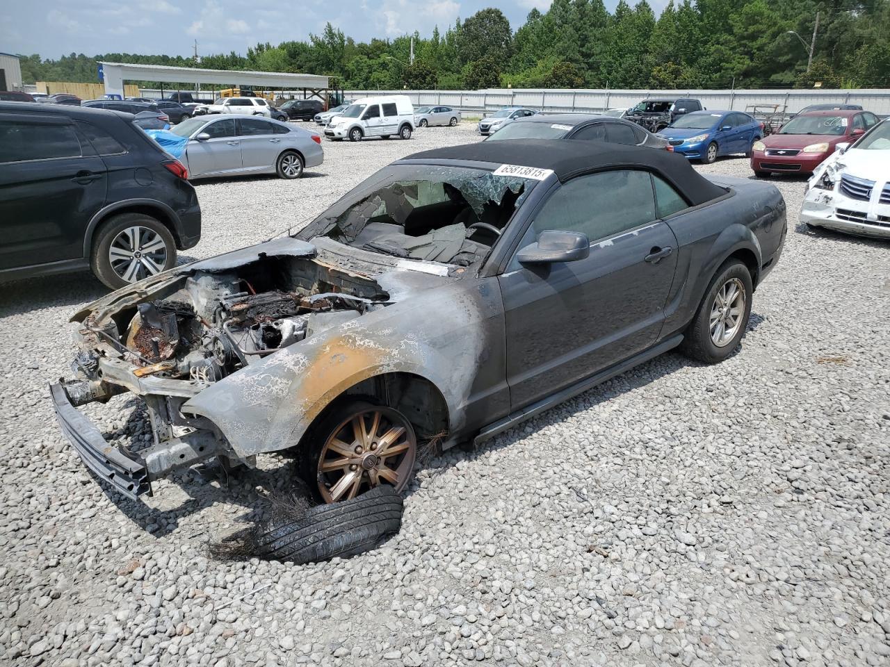 2009 FORD MUSTANG