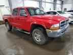 2003 DODGE Dakota