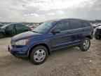 2010 HONDA CR-V