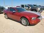 2005 FORD MUSTANG