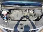 2024 KIA Carnival