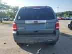 2010 FORD ESCAPE