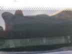 2005 TOYOTA Sequoia