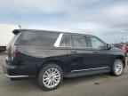 2023 CADILLAC ESCALADE