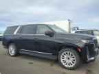 2023 CADILLAC ESCALADE