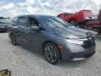 2022 HONDA ODYSSEY