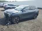 2024 KIA SELTOS