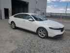 2023 HONDA ACCORD
