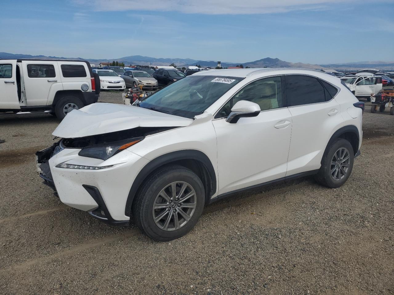 2019 LEXUS NX 300